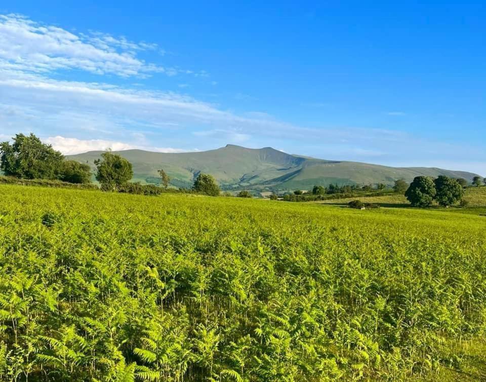 Little Cottage Of The Beacons Brecon Bagian luar foto