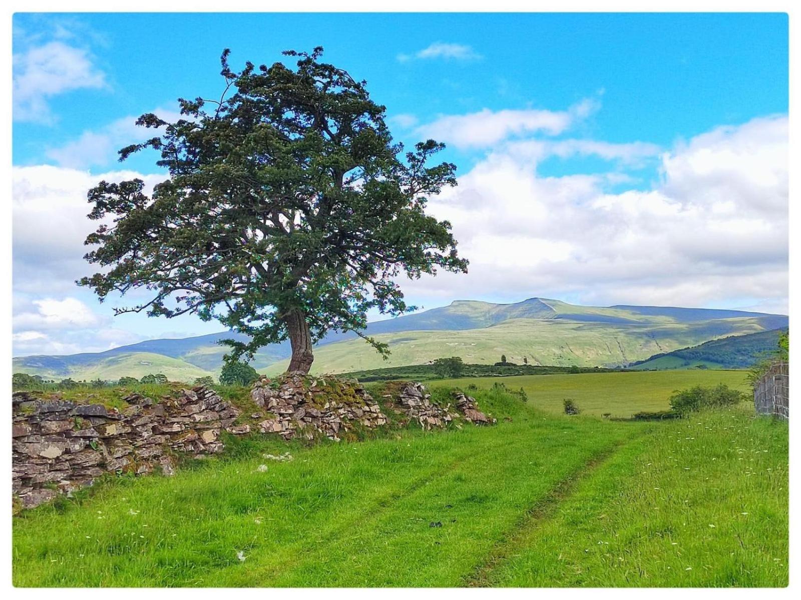 Little Cottage Of The Beacons Brecon Bagian luar foto